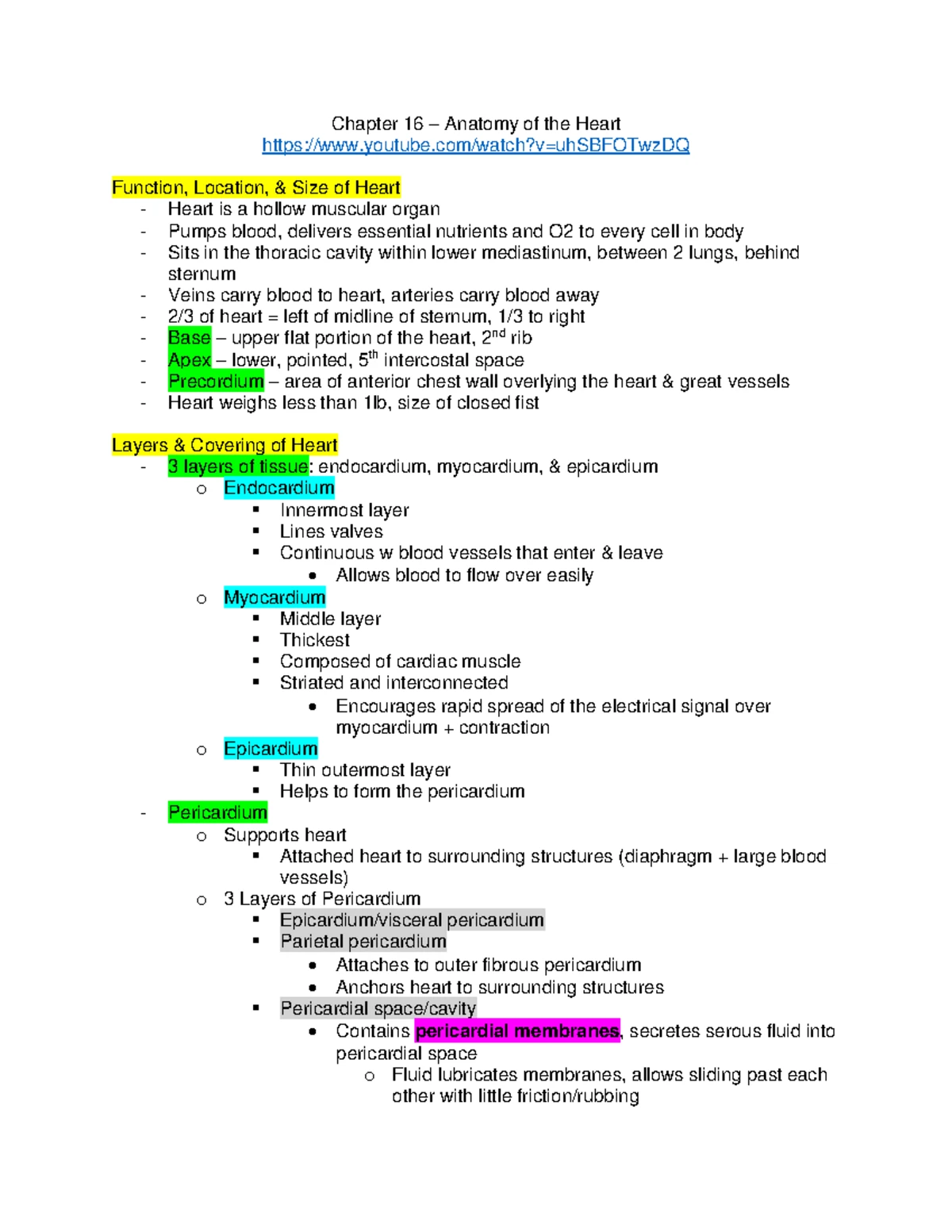 Chapter 24 - Comprehensive Overview of the Urinary System - Studocu