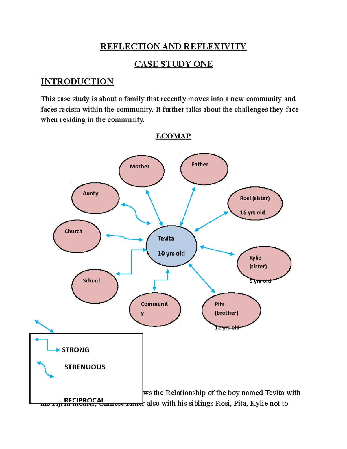 SW100 Worldview Final Assignment: Case Studies on Cultural Challenges ...