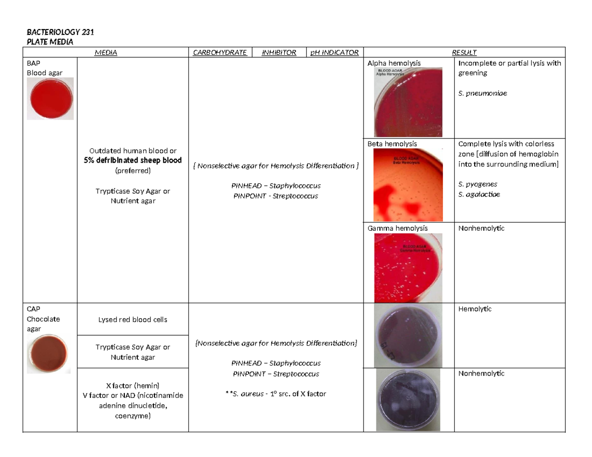 BACTERIOLOGY 231: Overview of Bacterial Culture Media Techniques - Studocu