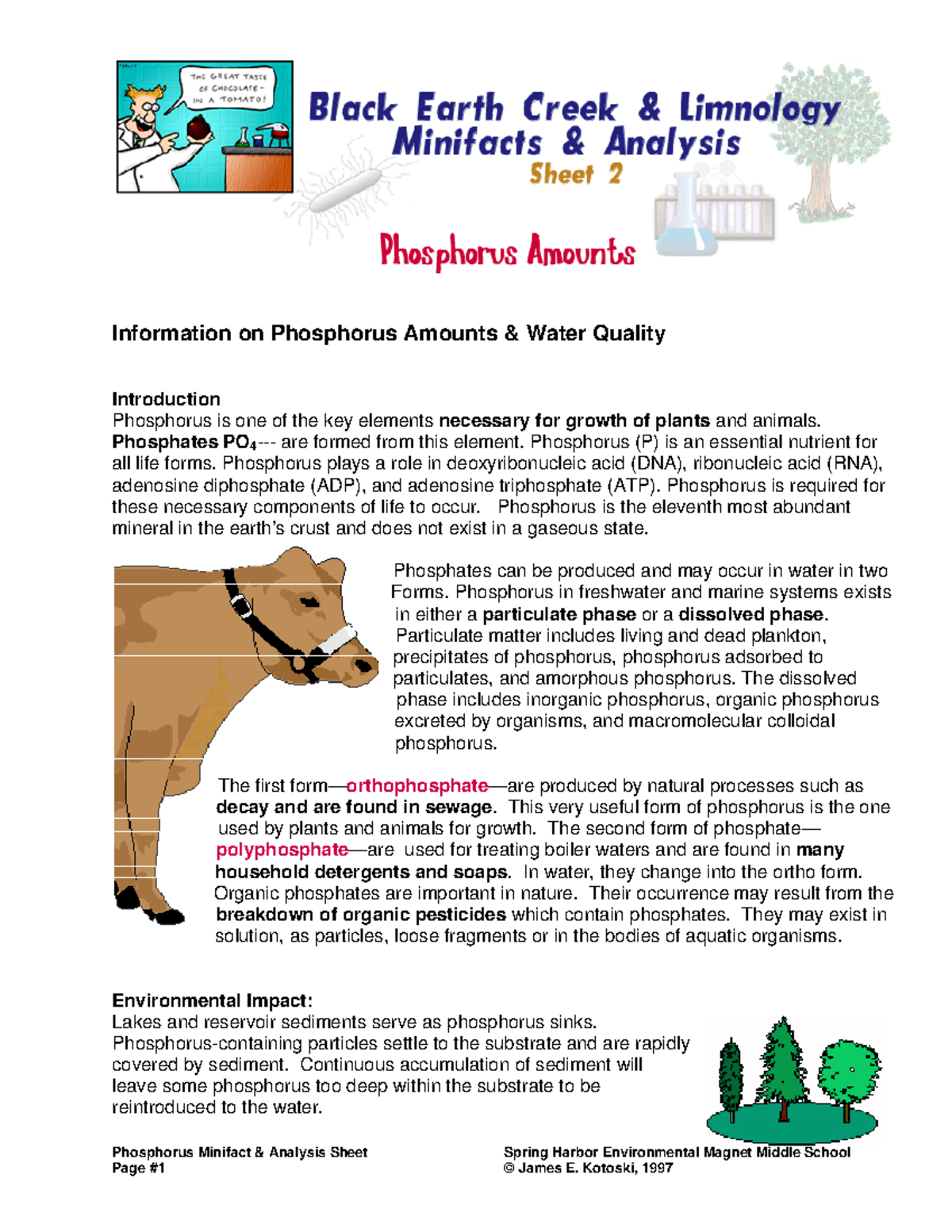 Phosphorus Minifact Analysis & Water Quality Implications ...