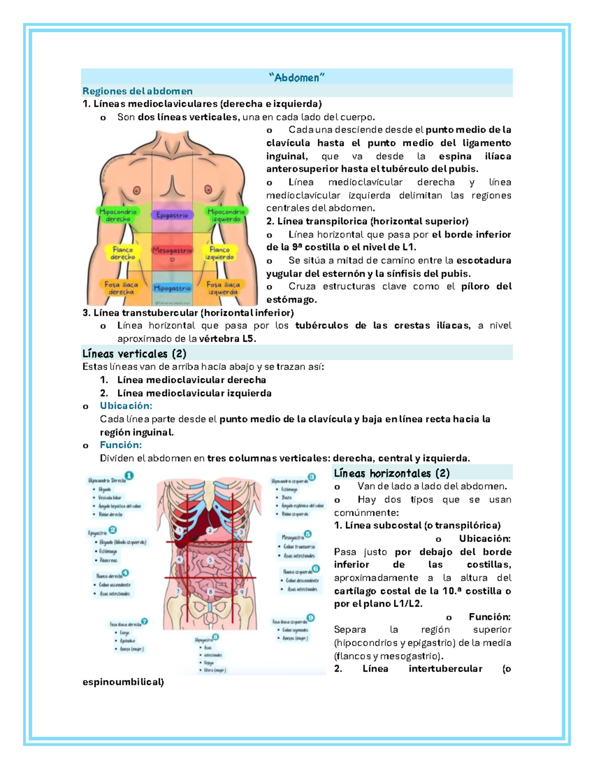 Abdomen - Apuntes de Anatomía y Exploración Física (ANAT 101) - Studocu