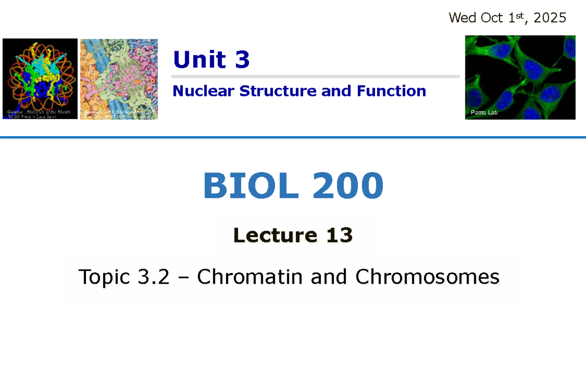 BIOL 200 Final Exam: Overview of DNA Packaging & Chromatin Structure ...