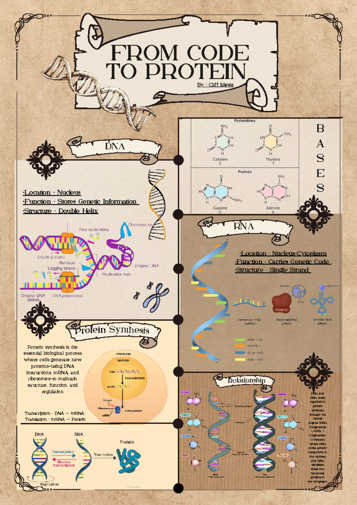 Brown and Beige Vintage Illustrated Mind Map A4 Document 20260203 ...