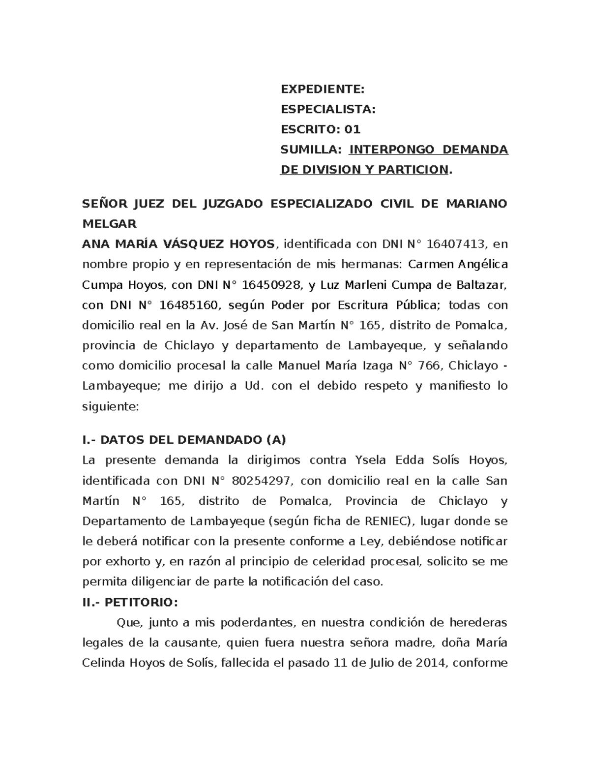 Demanda de División y Partición de Bienes Hereditarios - Chiclayo - Document Preview
