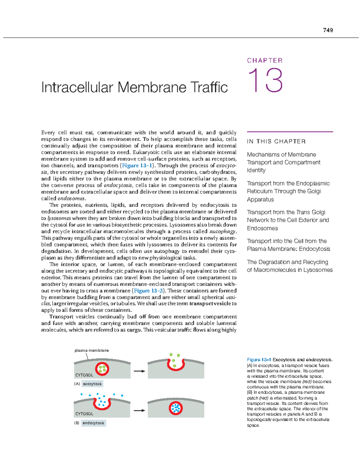 749 MBOC7 CHAPTER: Mechanisms of Intracellular Membrane Traffic - Studocu