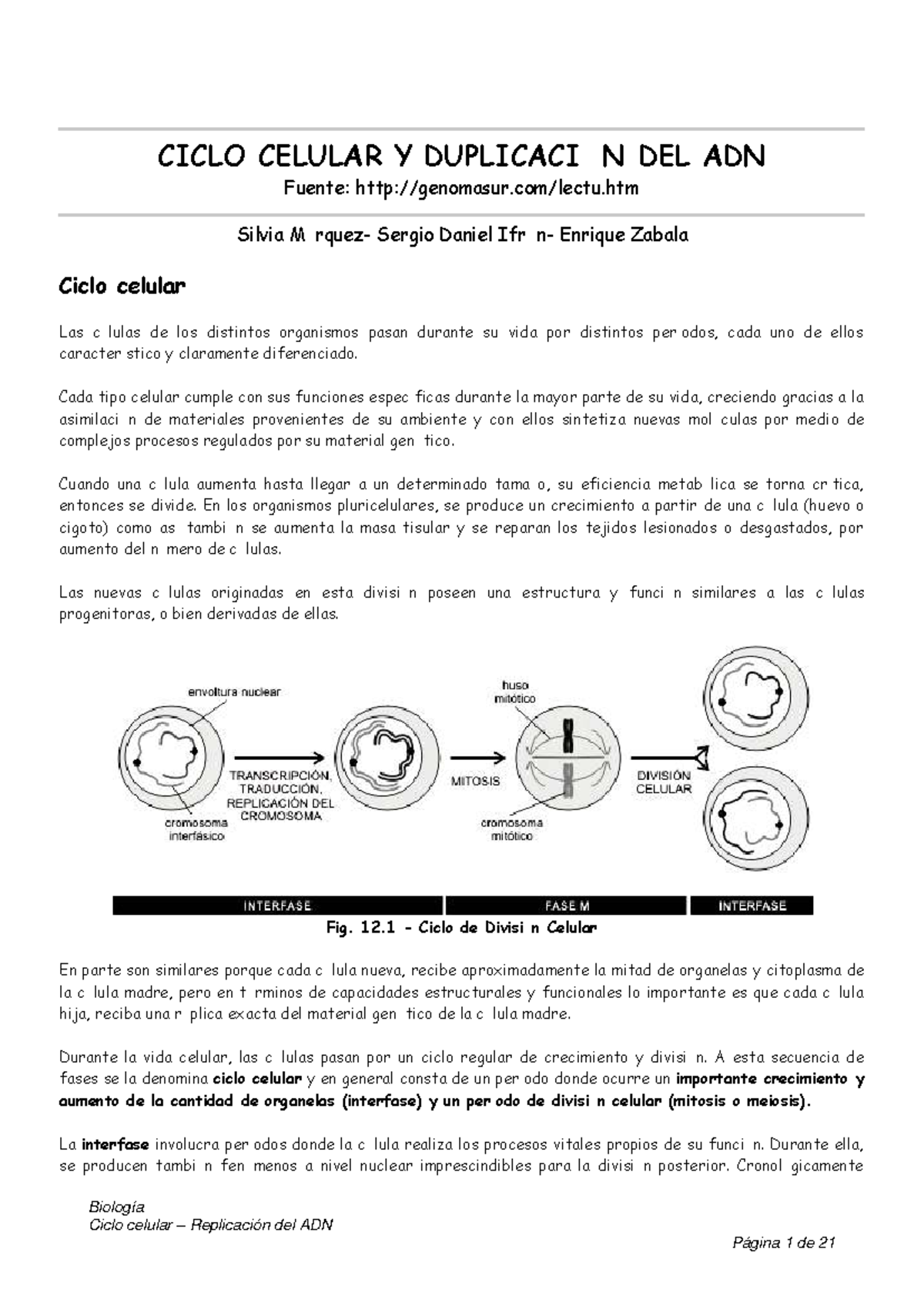 Ciclo Celular y Replicación del ADN - Biología 101 - Studocu