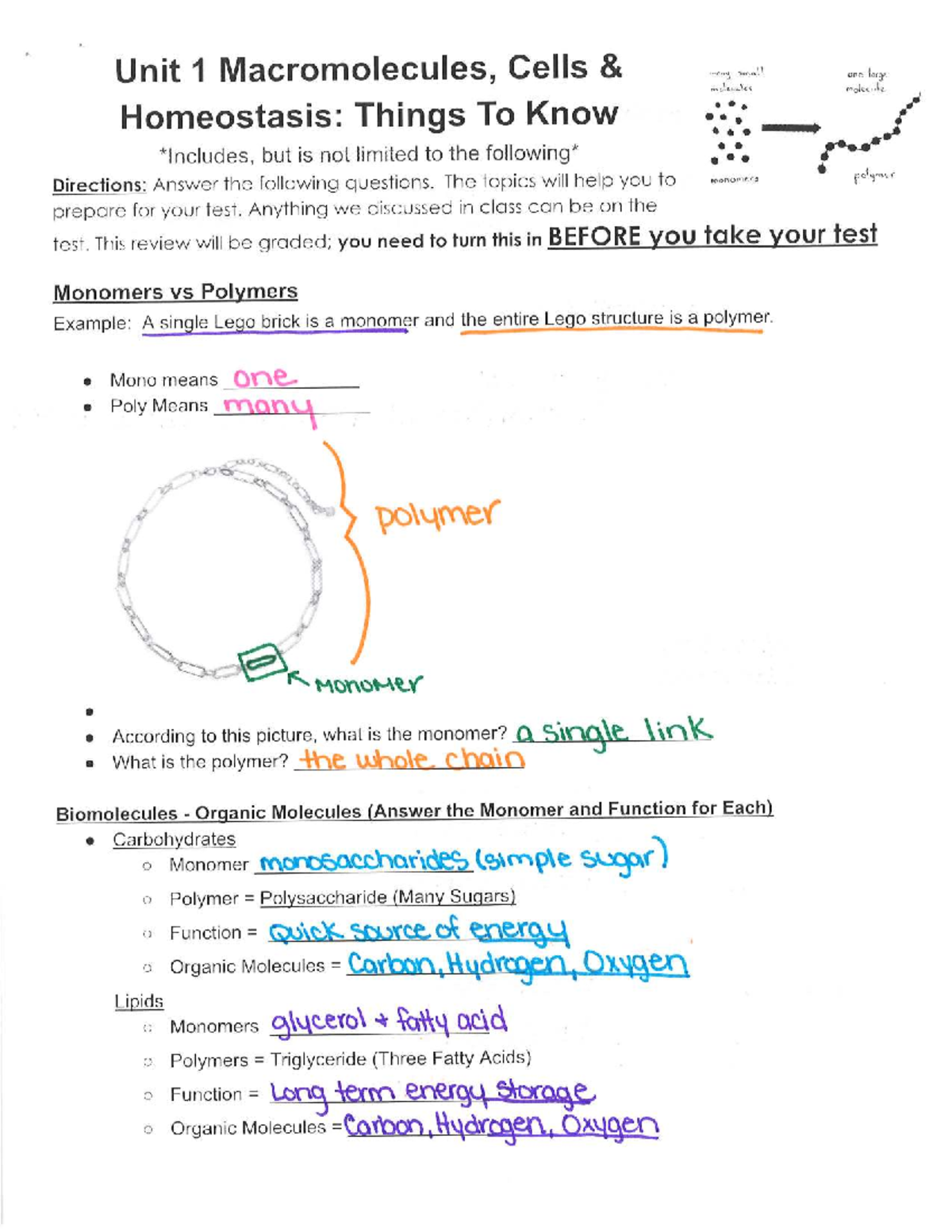 Biology 101: Exam Review on Cell Structure, Function & Transport - Studocu