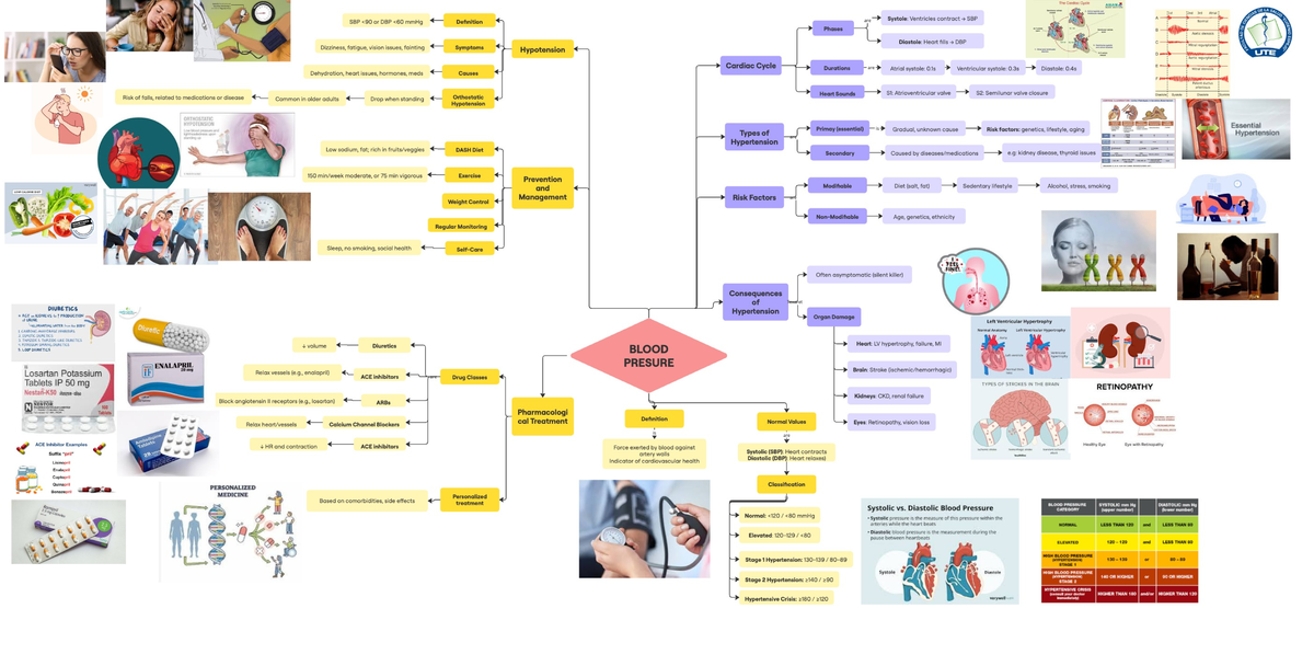 SBP & DBP: Understanding Blood Pressure and Its Implications - Studocu