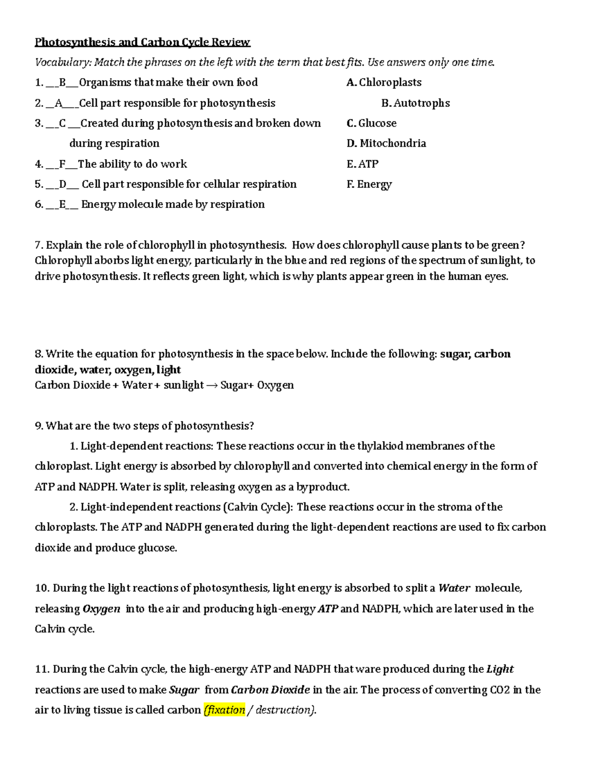 Photosynthesis and Carbon Cycle Review - Biology 101 Study Guide - Studocu