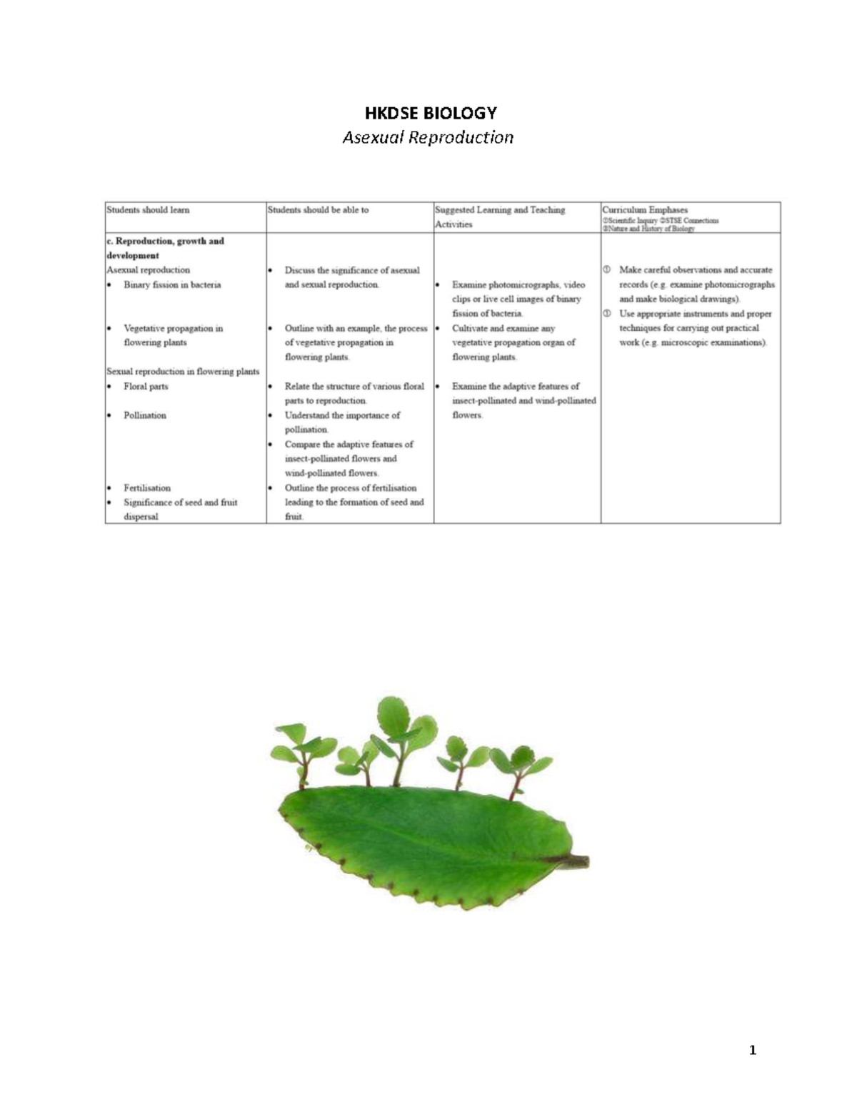 HKDSE BIOLOGY Asexual Reproduction: Definitions & Examples Explained ...