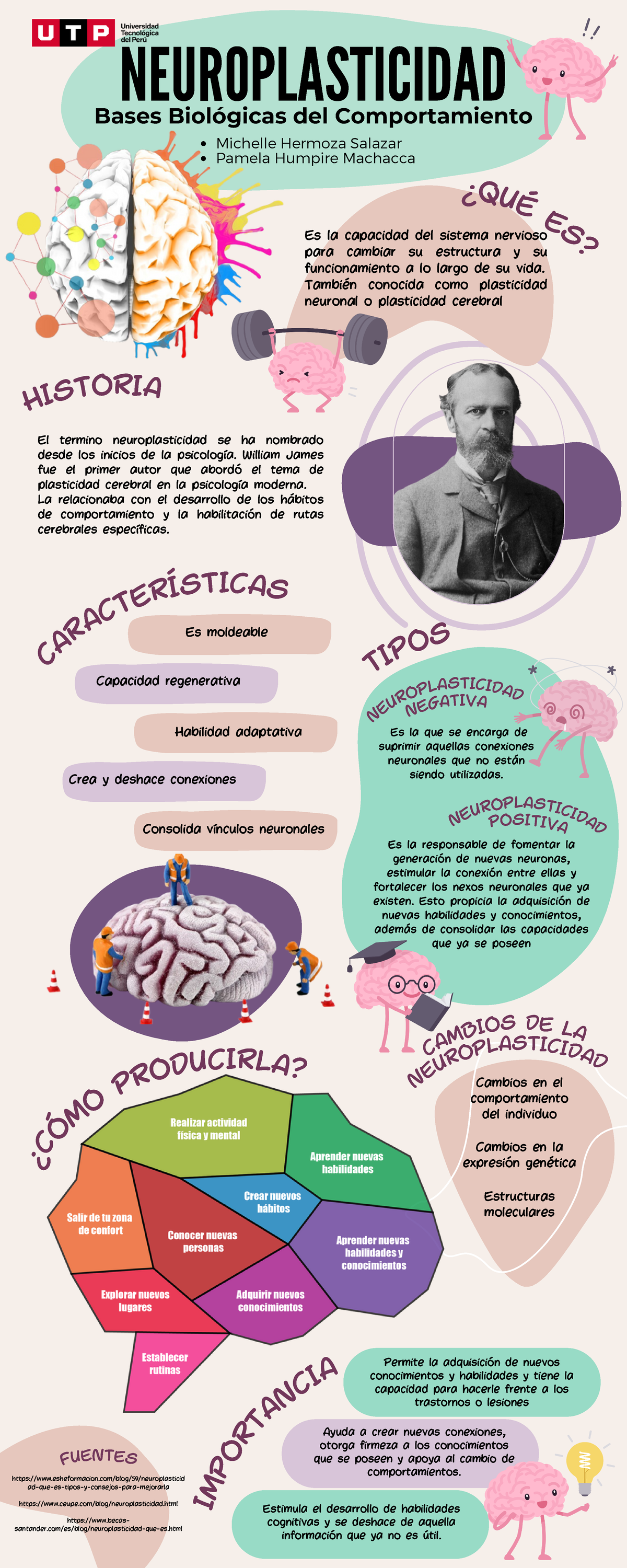 Tarea AcadéMICA 1 - Neuroplasticidad InfografíA - El termino