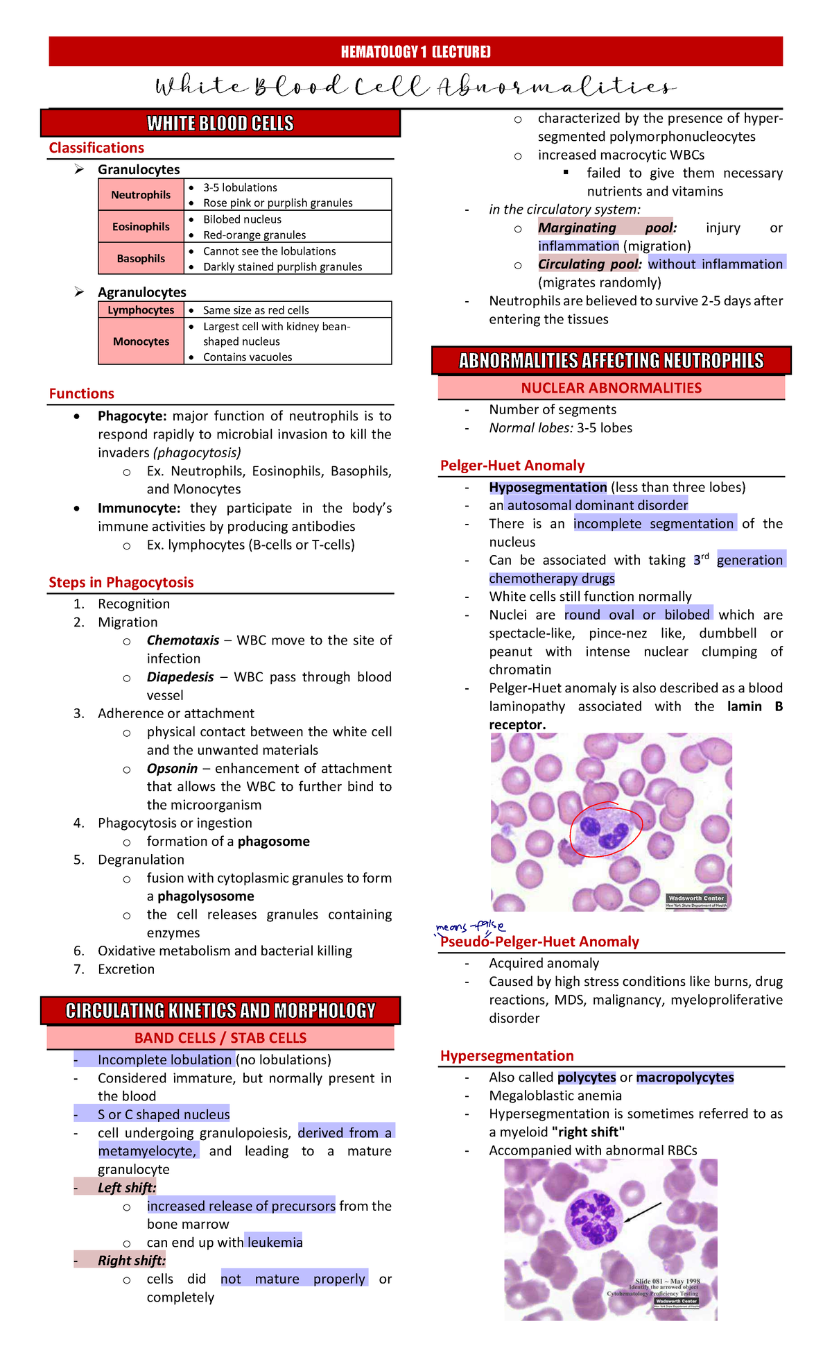 HEMATOLOGY 1 (LECTURE) - White Blood Cell Abnormalities Overview - Studocu