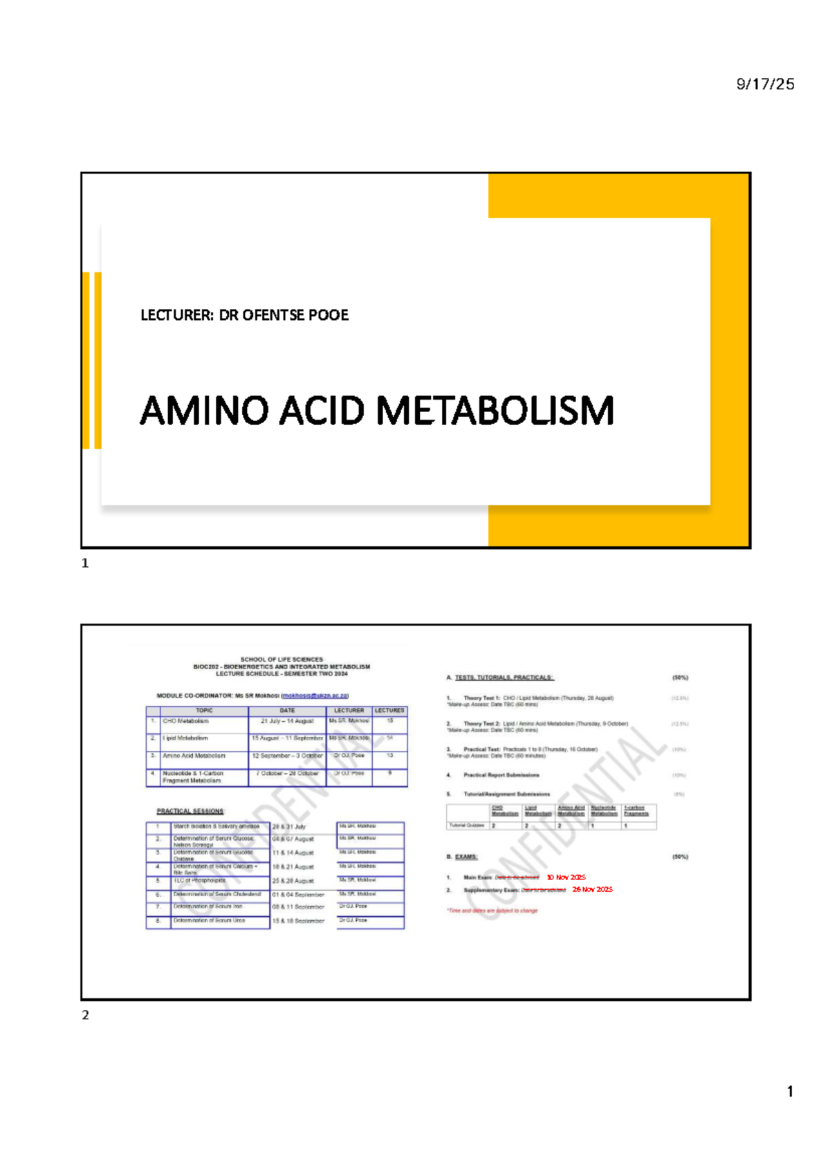 Amino Acid Metabolism Overview (POOE S1 2025) - Studocu