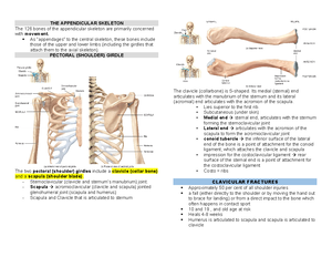 P2 Anaphy - Labeling - FUNCTIONS OF THE LARGE INTESTINE 1. Haustral ...