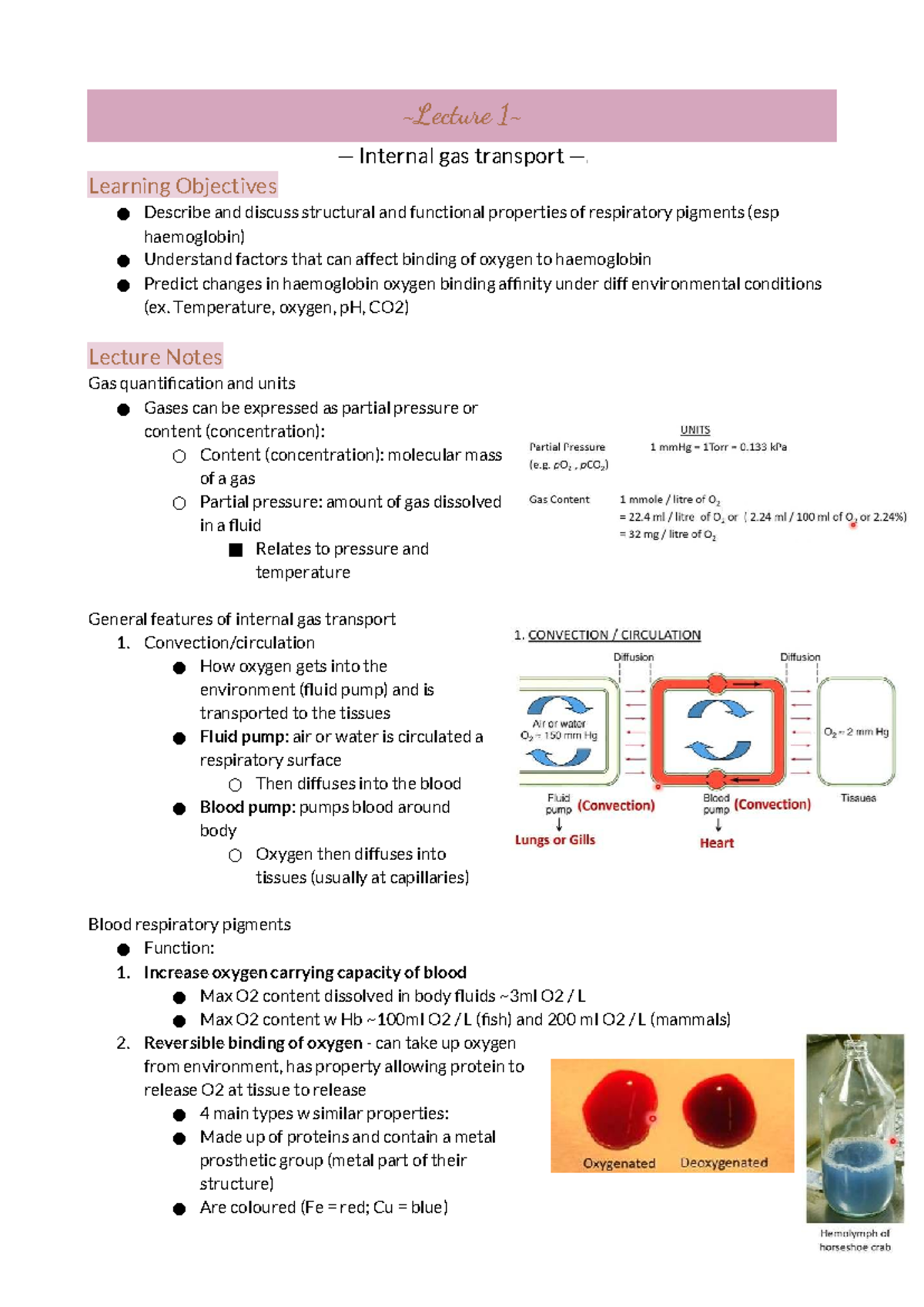 L12: Internal Gas Transport and Hemoglobin Functionality - Studocu