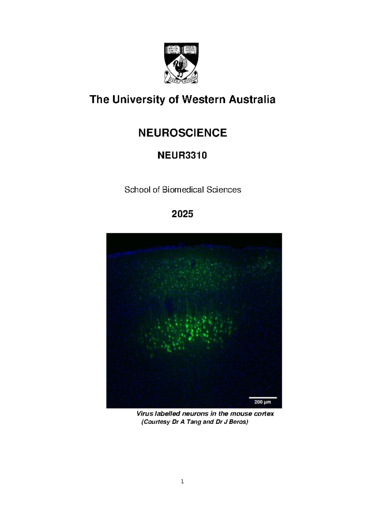 NEUR3310 2025 Handbook: Neuroscience Course Overview and Assessments ...