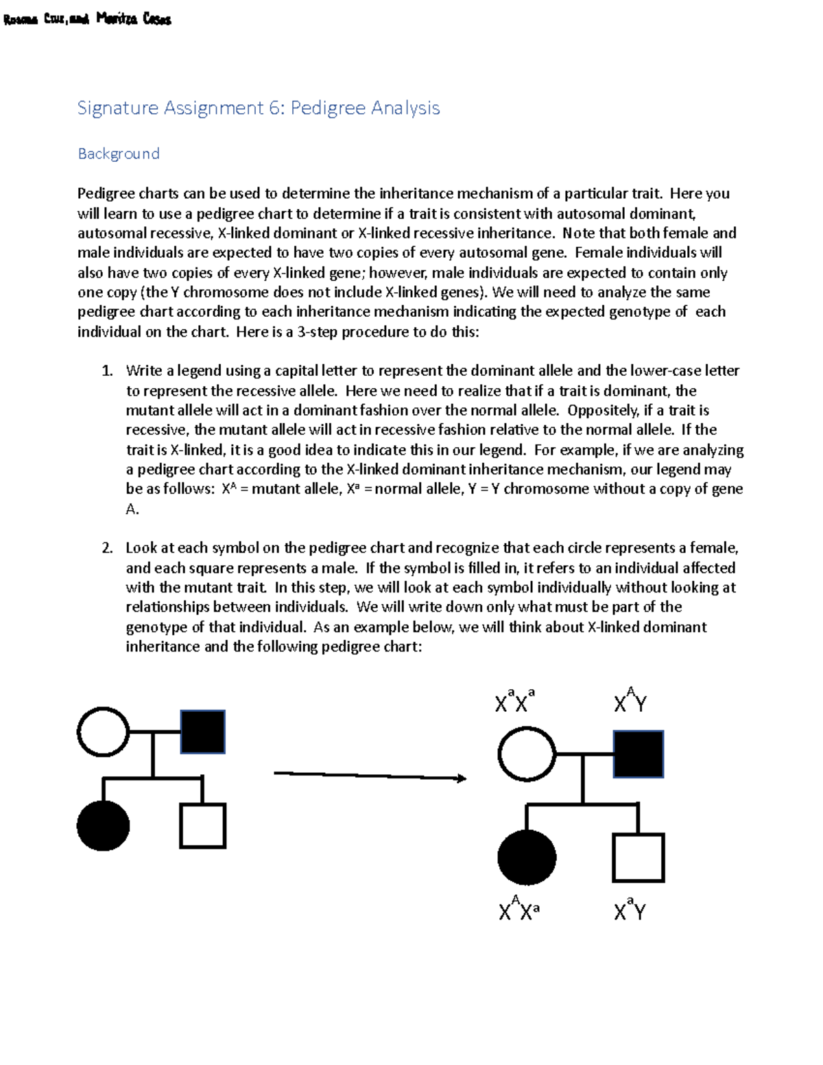Bio 1611 - Pedigree Analysis In-Class Assignment - Studocu