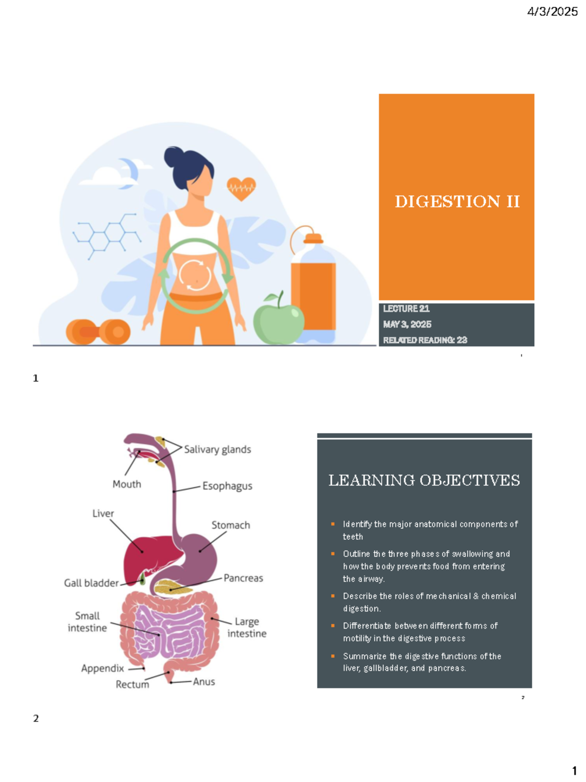 Digestion II: Anatomy, Functions, and Processes of the Digestive System ...