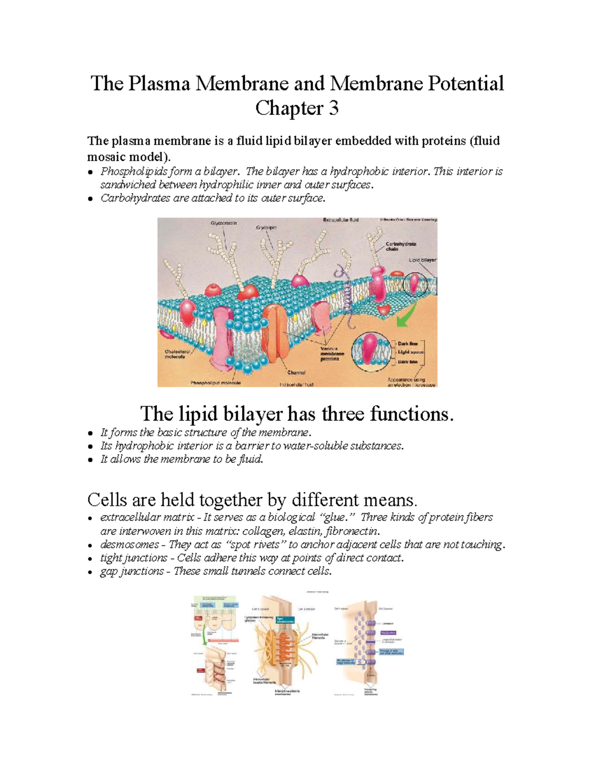 Chapter 3: Membrane Transport Mechanisms & Membrane Potential - Studocu