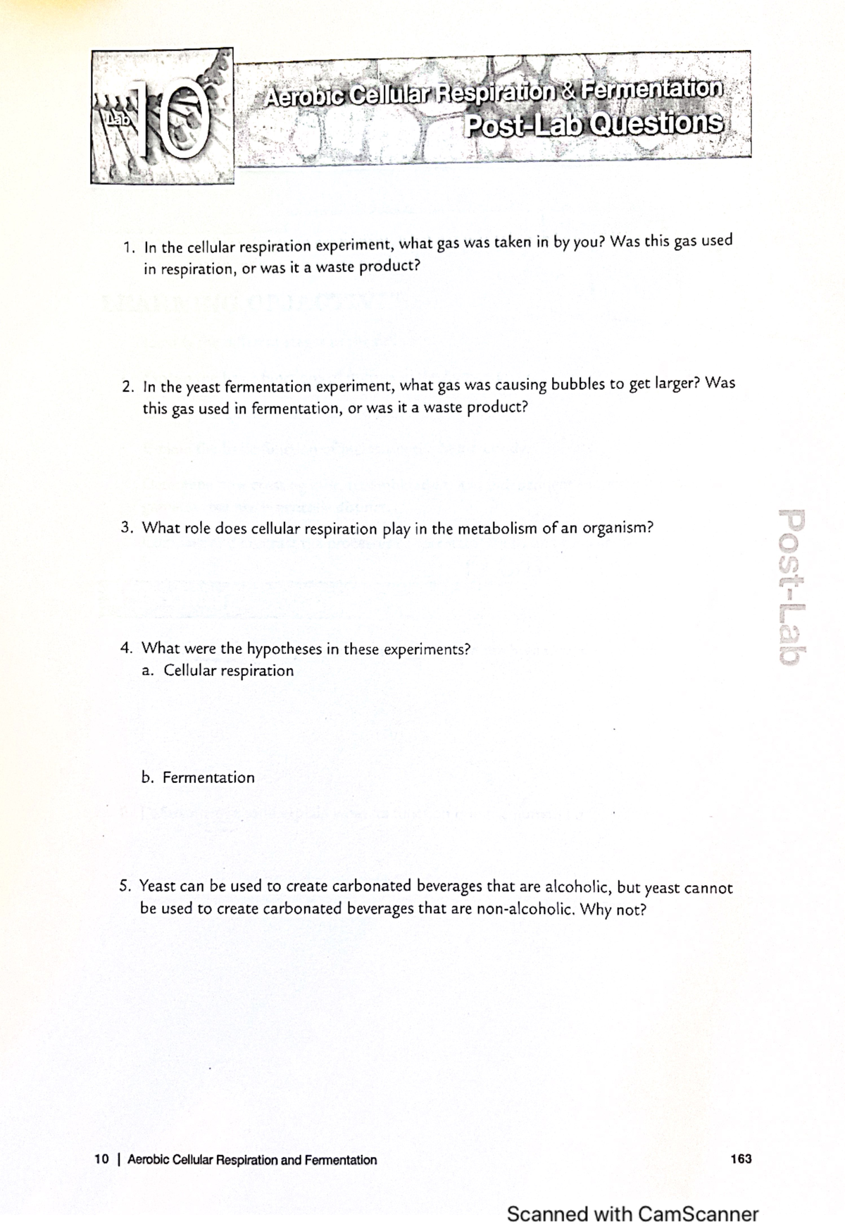 Pl 10 - N/A - AerobicCellularRespiration Fermentation Lab Questions 1 ...