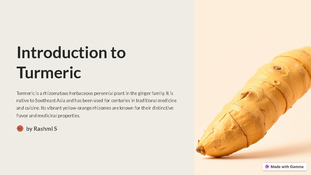Copy of Introduction to Turmeric - Introduction to Turmeric Turmeric is ...