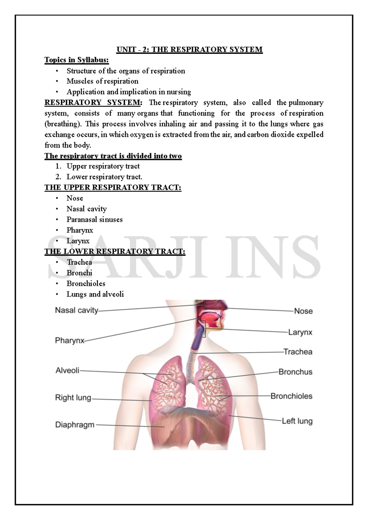 UNIT 2: RESPIRATORY SYSTEM ANATOMY & NURSING IMPLICATIONS - Studocu
