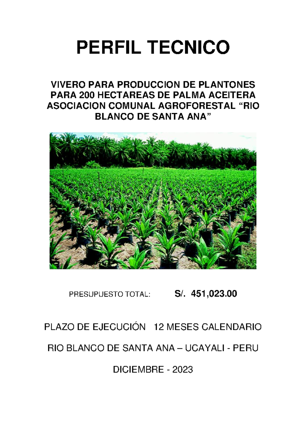 Perfil Técnico para Vivero de Palma Aceitera 200 Ha - Proyecto 2023 - Document Preview