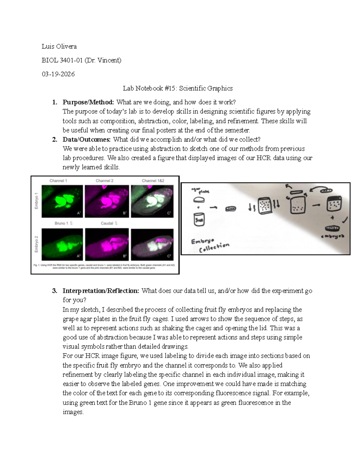 Lab Notebook #15: Scientific Graphics in BIOL Lab (Dr. Vincent) - Studocu