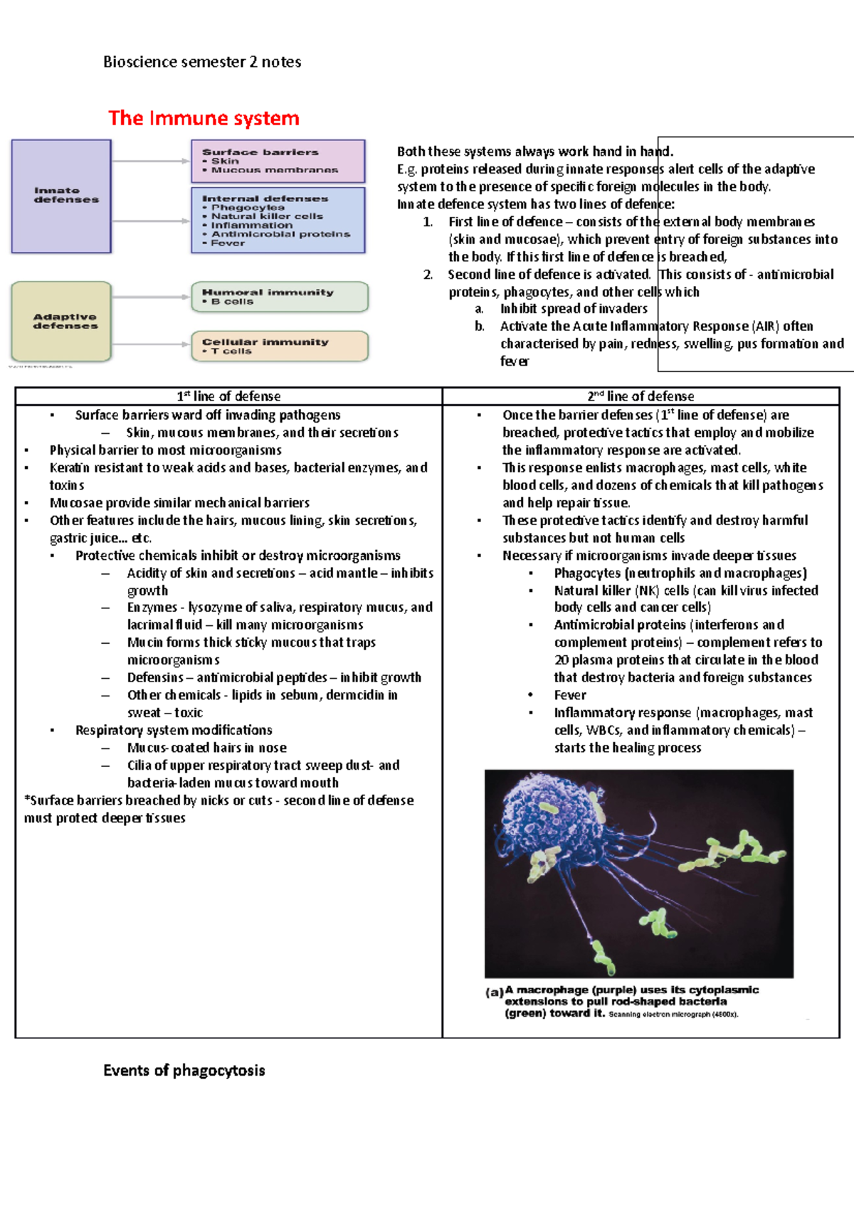 Bioscience Semester 2: Immune System & Pharmacology Notes - Studocu