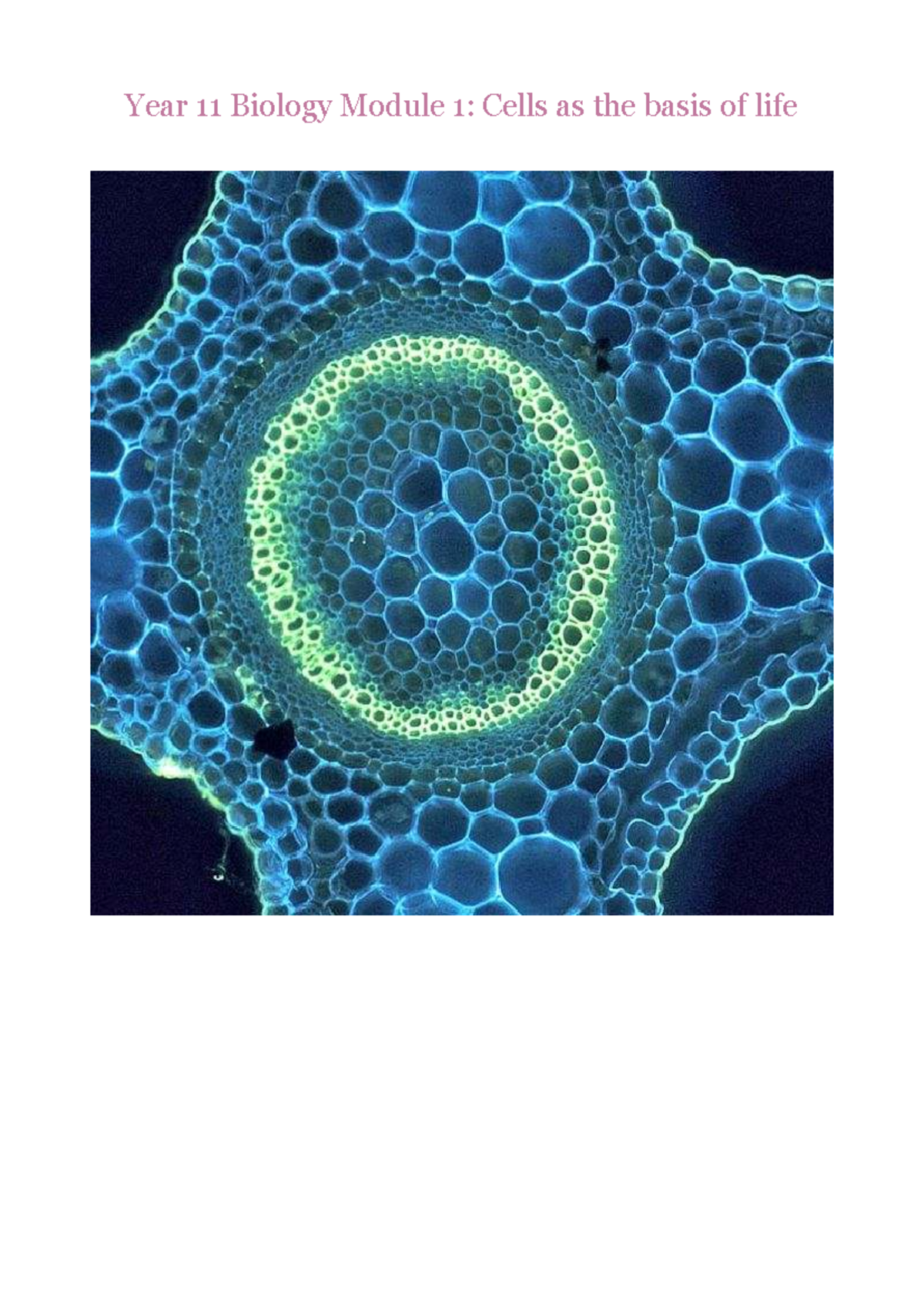 Year 11 Biology Module 1: Cell Structure and Function Overview - Studocu