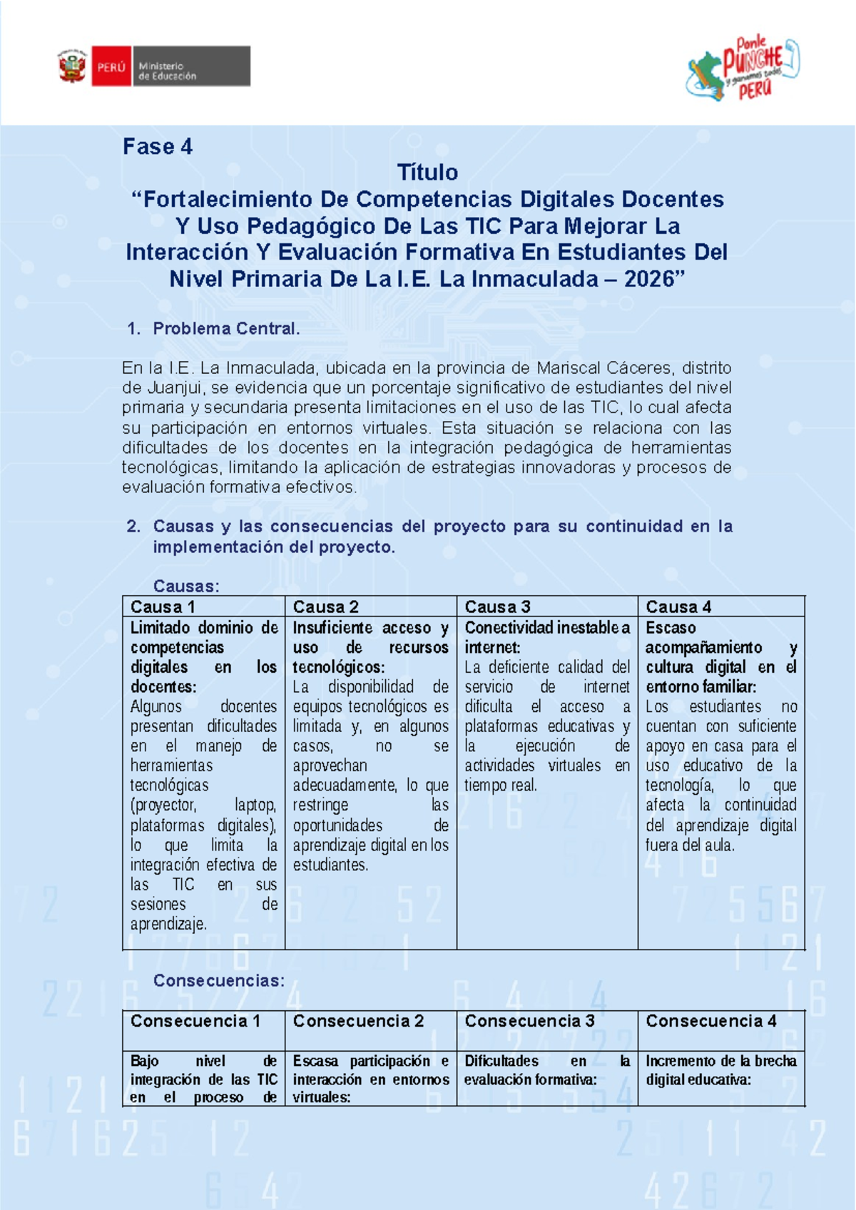 Fase 4: Competencias Digitales Docentes y Uso Pedagógico de TIC en ...