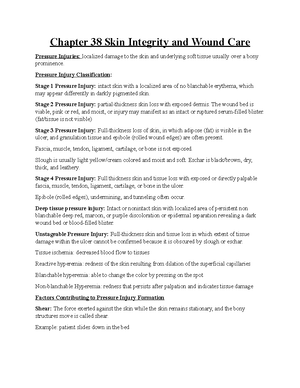 Essentials for Nursing Practice 9th Edition Potter Test Bank Review ...