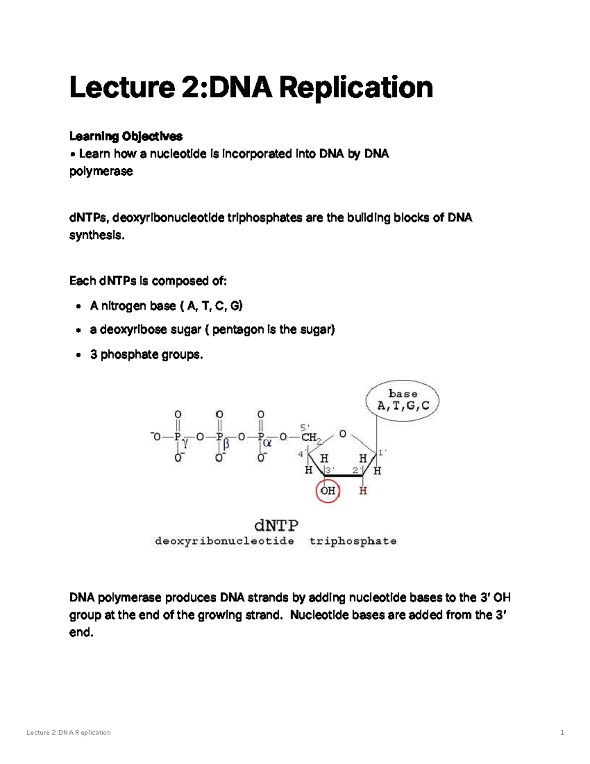 Lecture 2: DNA Replication - Key Concepts and Mechanisms - Studocu