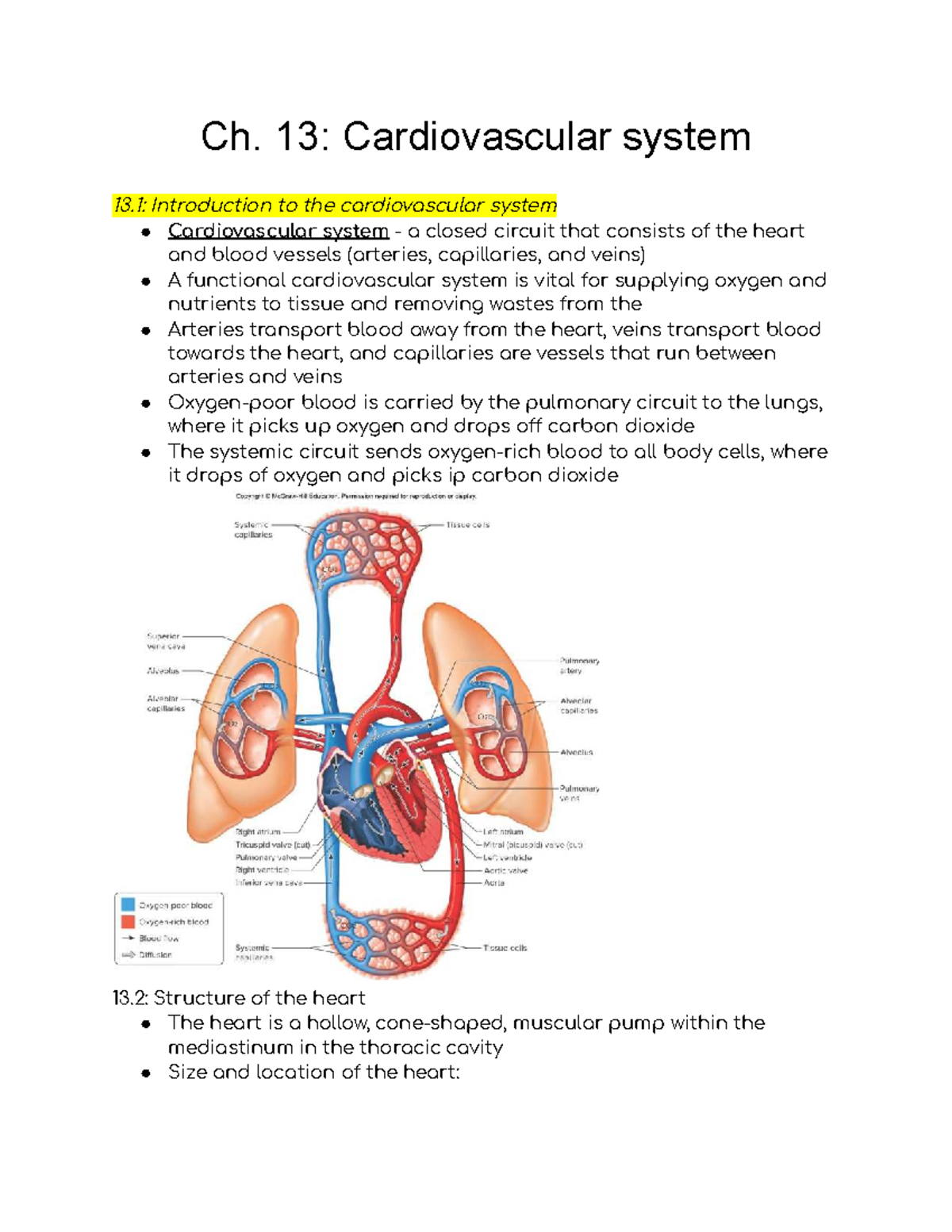 Ch. 13: Cardiovascular System Overview and Heart Structure - Studocu