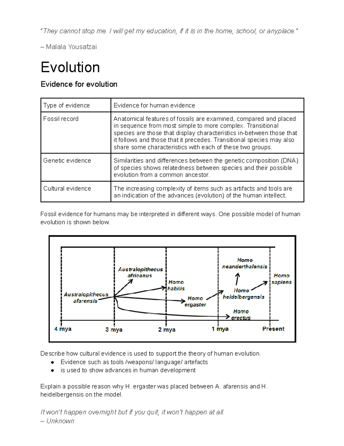 Evolution Evidence: Understanding Human Evolution and Transitional ...