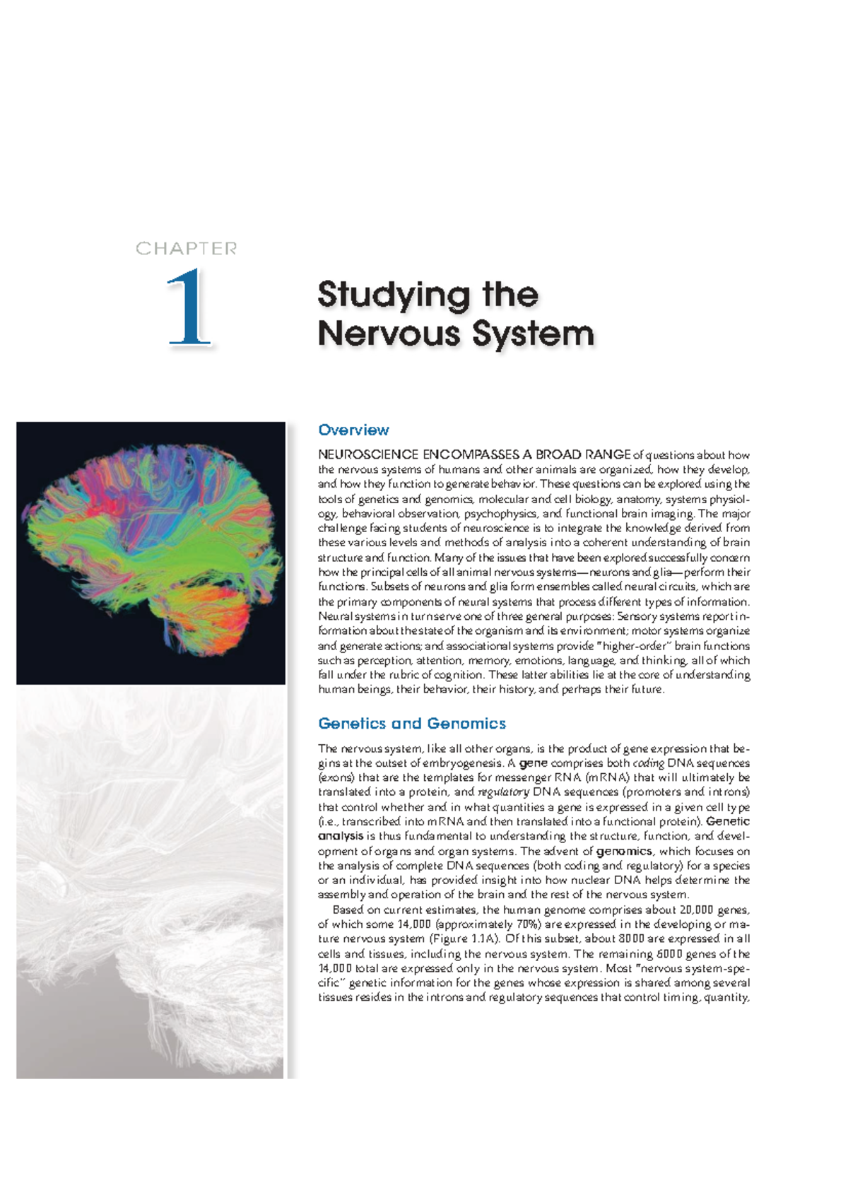 1 CHAPTER Overview of the Nervous System: Structure, Function, and ...