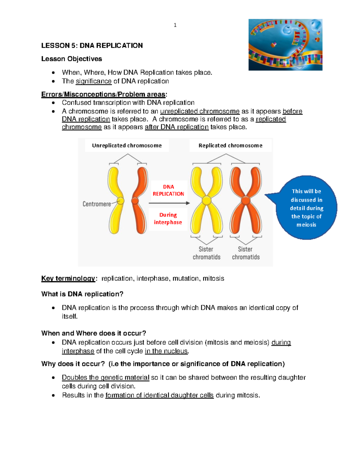 Lesson 5: DNA Replication Summary & Key Concepts - Studocu