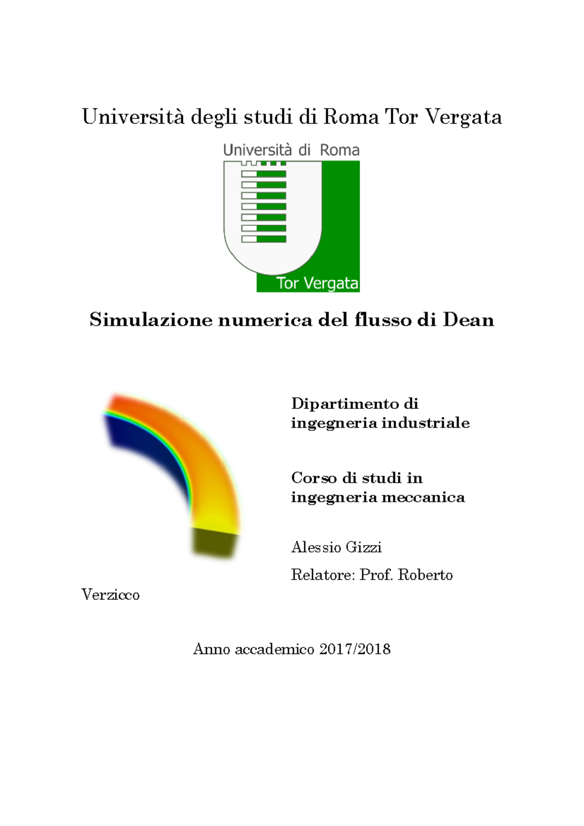Simulazione numerica del flusso di Dean tramite OpenFOAM - Ingegneria Meccanica - Document Preview