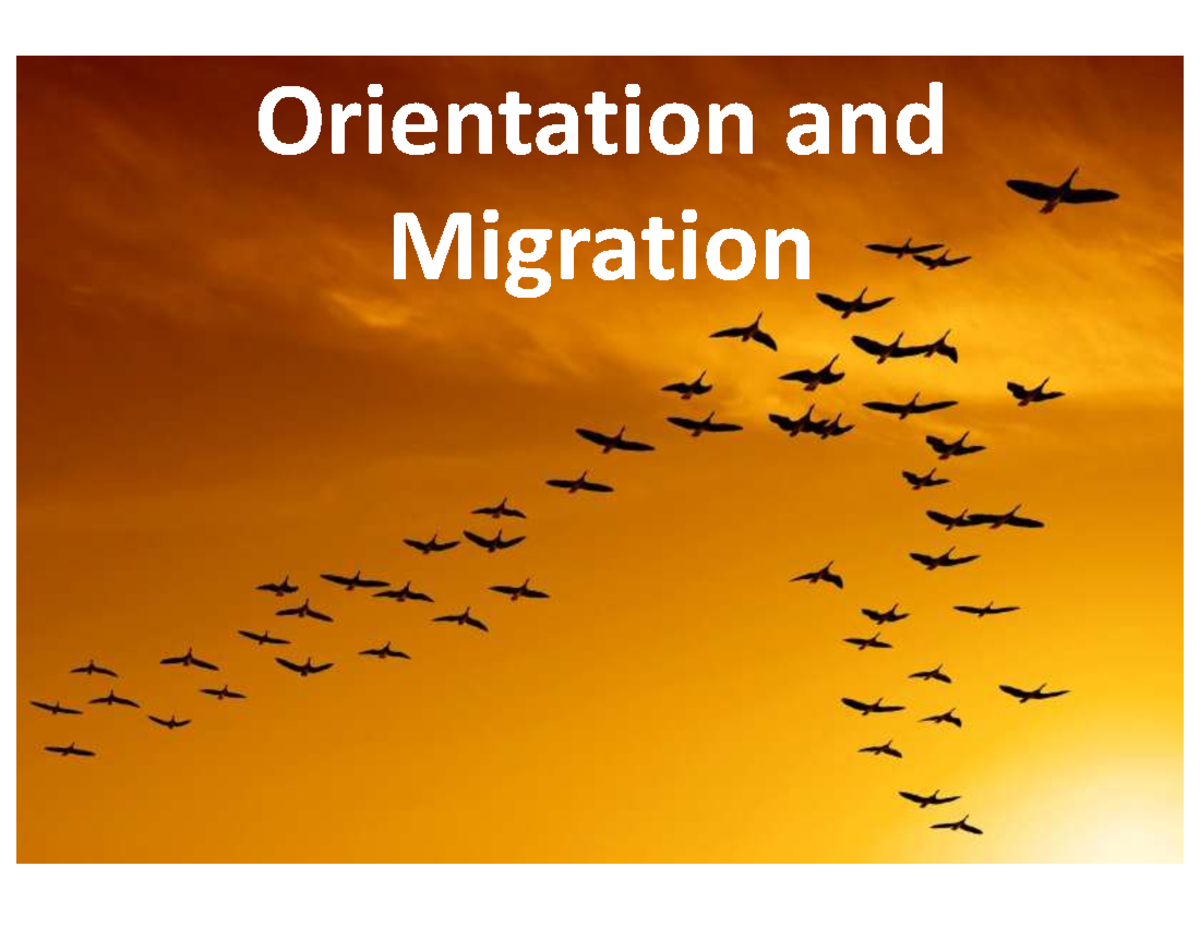 Orientation and Migration in Animals - Studocu