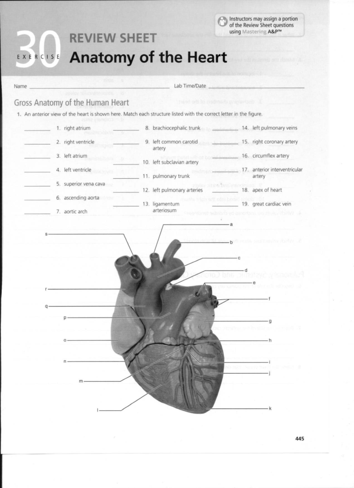 Lab Heart Review Sheet Assignment - Instructors may assign a portion of ...