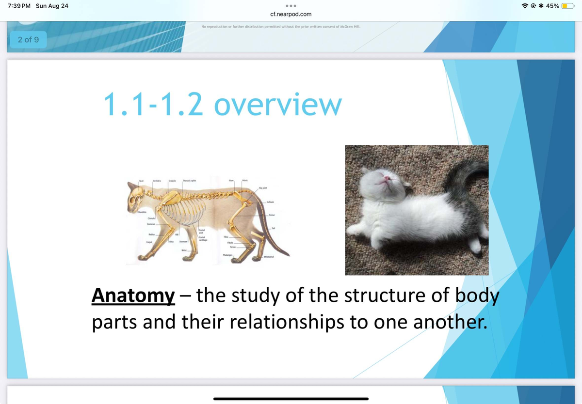 Final Exam Study Guide for Course XYZ: Anatomy & Physiology Concepts ...
