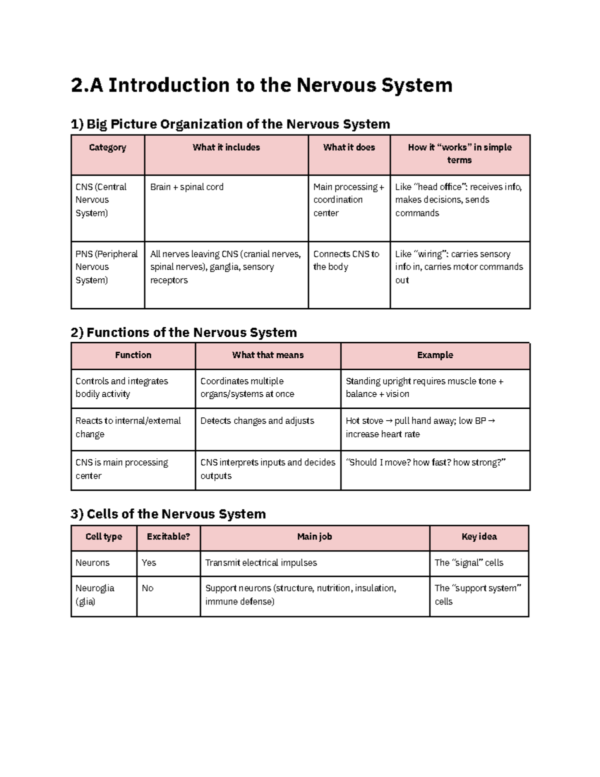 2.A Nervous System Overview - Final Exam Review Notes - Studocu