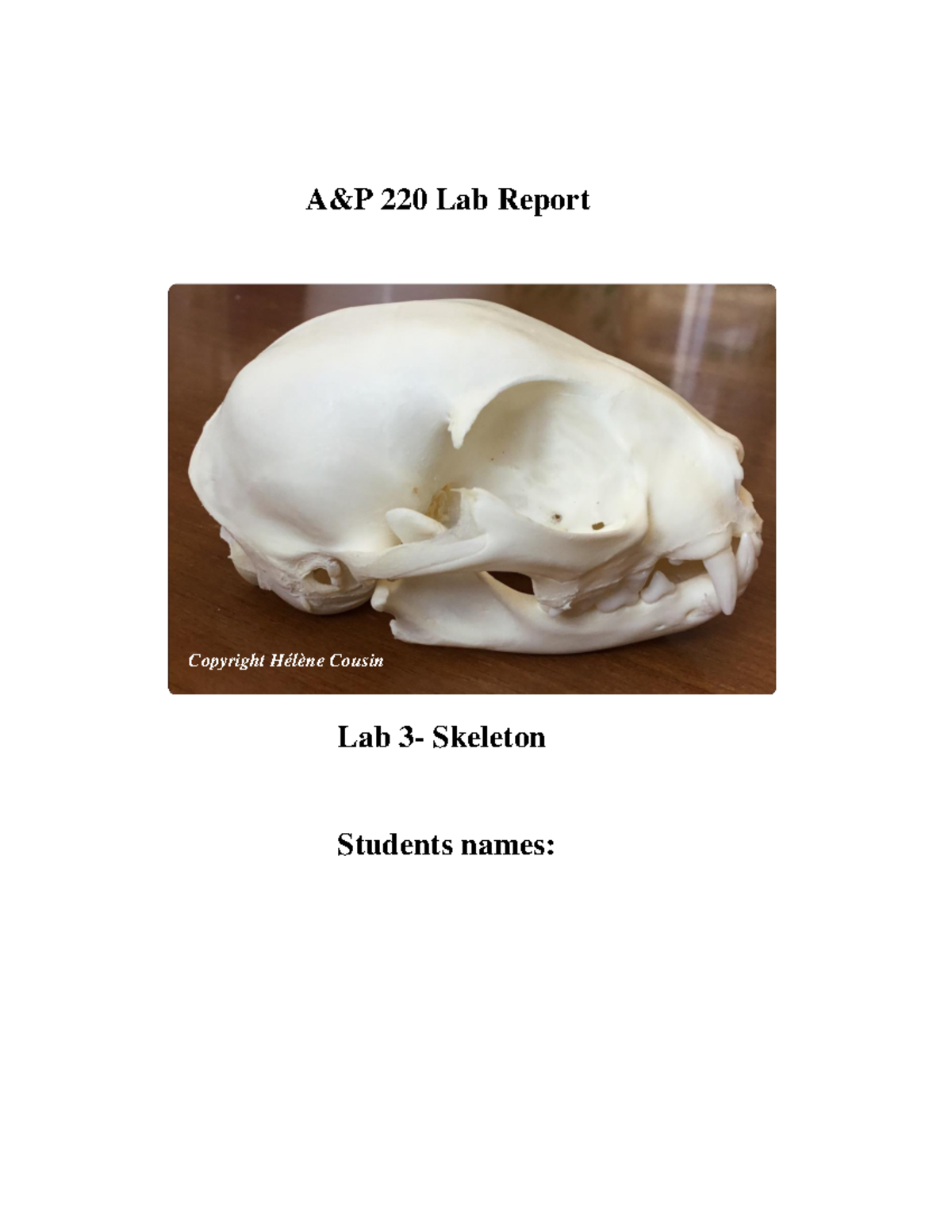 A&P 220 Lab 3: Detailed Skeleton Report for Students - Studocu