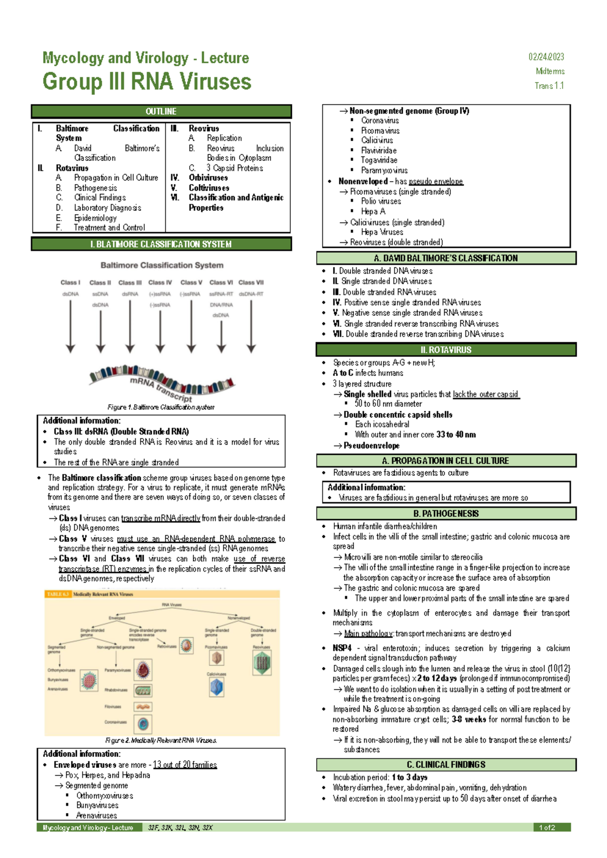 Mycology and Virology - Lecture on RNA Viruses (M-Trans 1) - Studocu