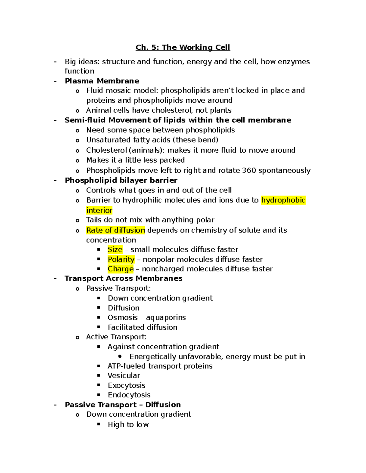 Final Exam Review Notes: Cellular Respiration & Photosynthesis - Studocu
