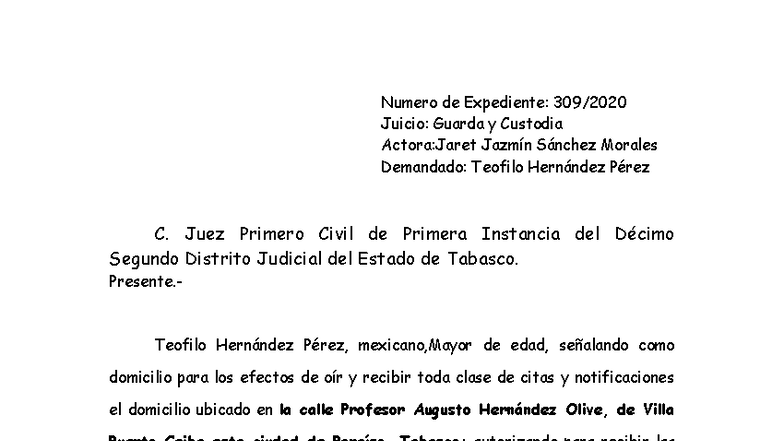Incidente de Ejecución de Guarda y Custodia - Expediente 3 - Studocu