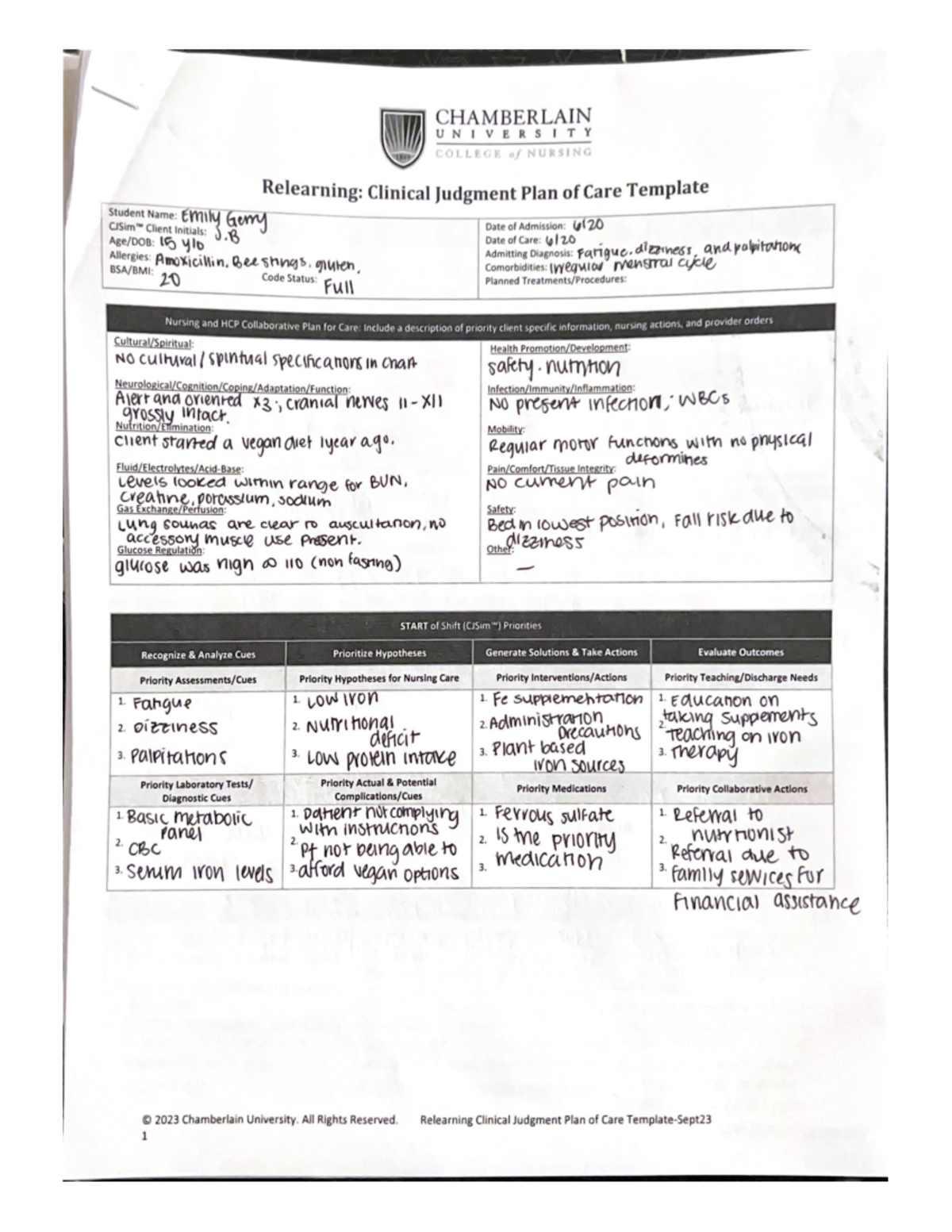 J.B. CJ SIM Health Care Plan Overview - Studocu