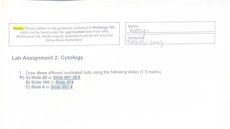 Histology 101 Lab Assignment 2: Cytology Notes - Studocu