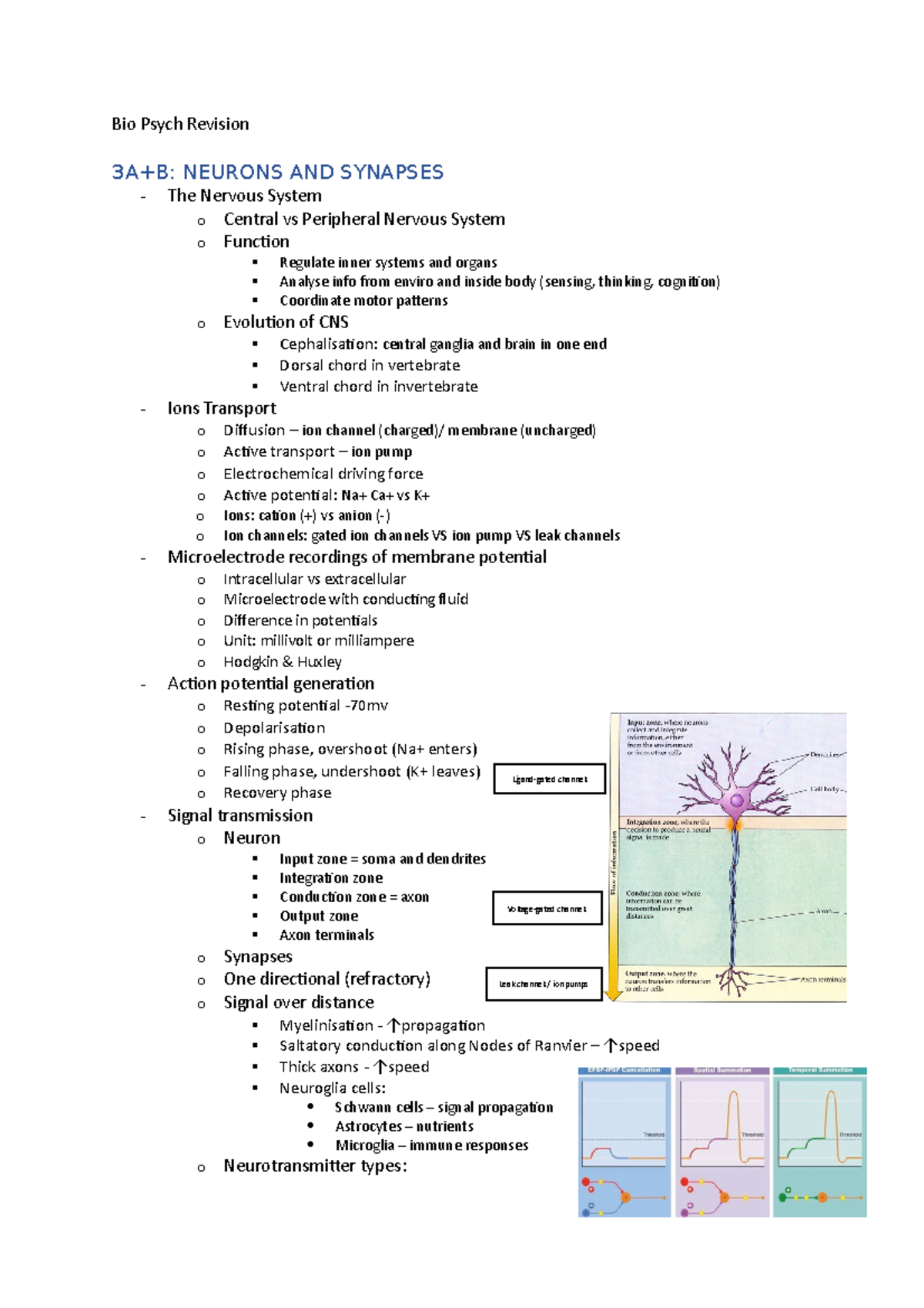 Introduction to Bio Psych Exam Revision - Bio Psych Revision 3A+B ...