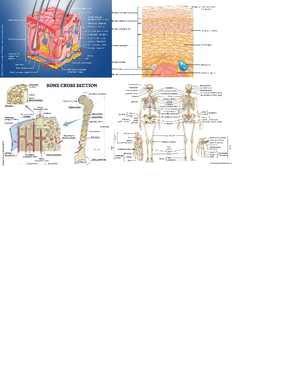 Microbe Mission Cheat Sheet Final - Types of Microscopes: Selective ...